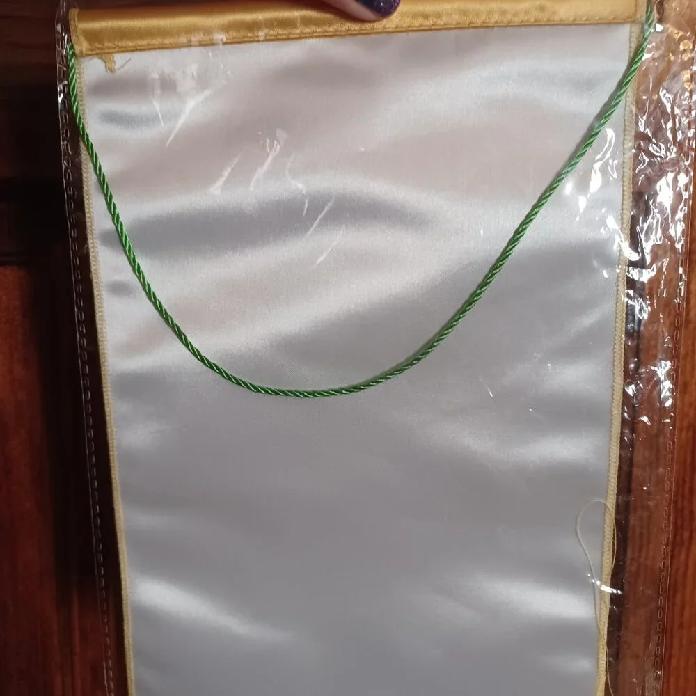 Toledo Goal Diggers banner